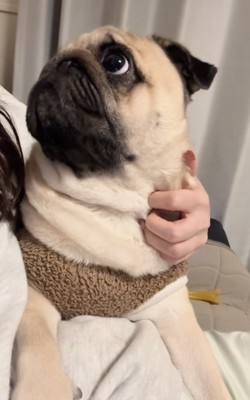 「しかも3人で!」