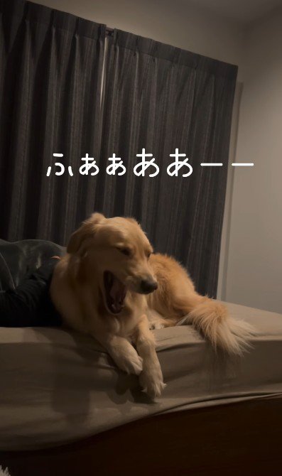 ふああああー