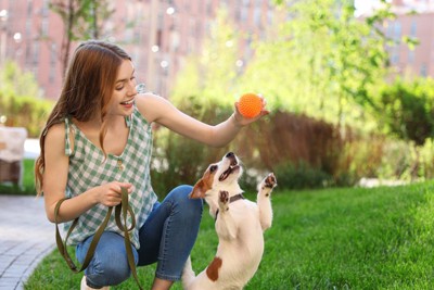 女性と遊ぶ犬