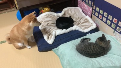 やっぱり気になる？