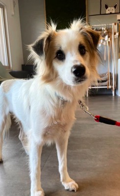 ダニエルくんとの数ヶ月間2