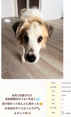 ダニエルくんとの数ヶ月間