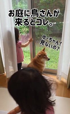 「ゆーちゃんも見てみなよ!」