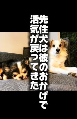ダニエルくんとの数ヶ月間4