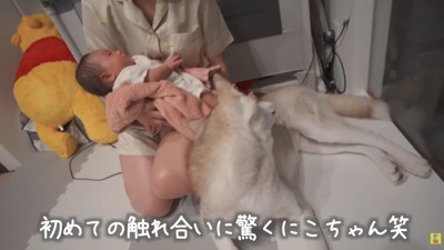 初めての触れ合い