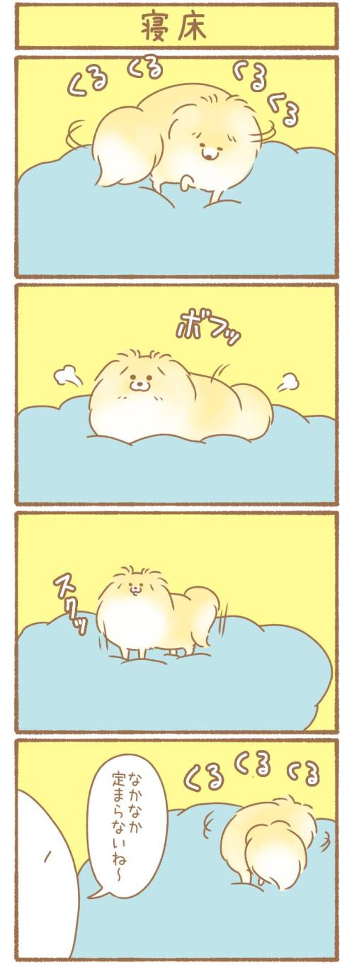 ただの犬好きです。【第339話】