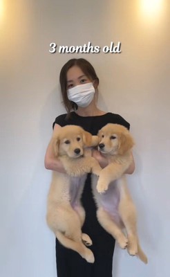 ちあちゃん＆ひまわりちゃんの成長2