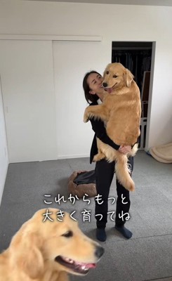 ちあちゃん＆ひまわりちゃんの成長7