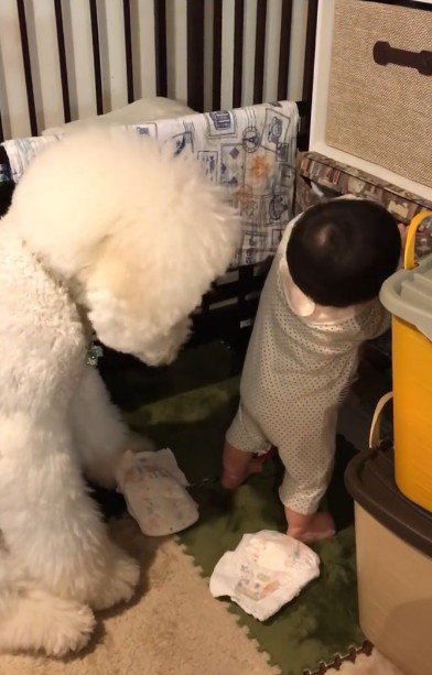 リクちゃんが背後で…