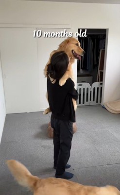 ちあちゃん＆ひまわりちゃんの成長4