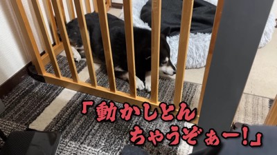 足が動いたことに逆ギレ！！