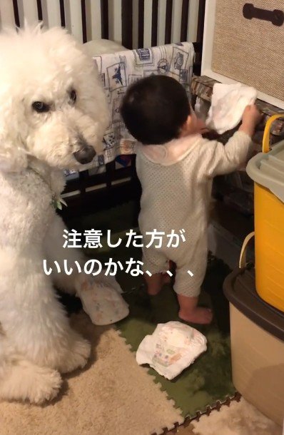 「注意した方がいいかな」