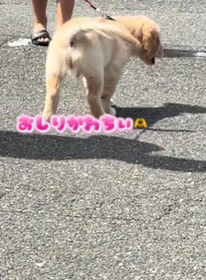 とってもにぎやか！