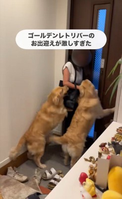 ちあちゃん＆ひまわりちゃんの熱烈歓迎