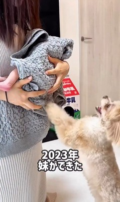 妹との初対面