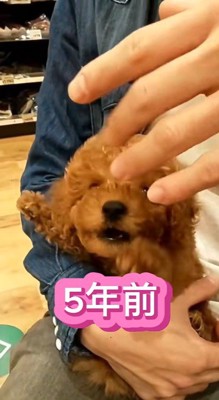 れおん君のビフォーアフター2