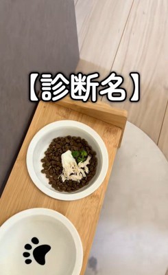 ご飯を食べないパンちゃん3