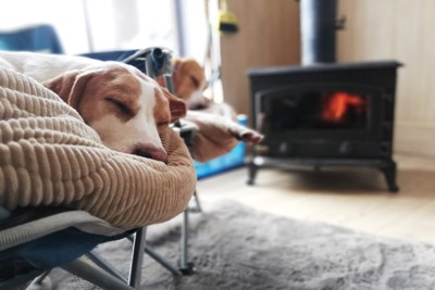 ストーブ、寝ている犬
