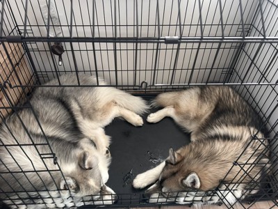 狭い