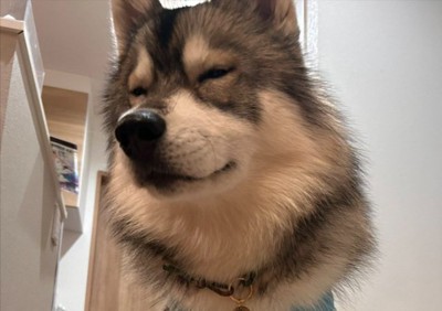ウトウト