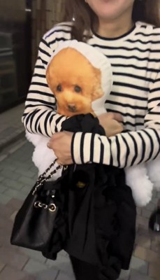 クッションを抱えて歩く女性