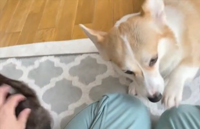 集まってくる