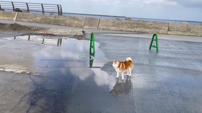 大きな水たまりが！！