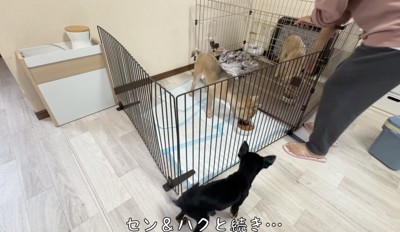 ルールを守っていただきます！