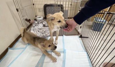 「おはようー！！」