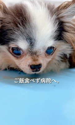 健康トラブルも抱えていた