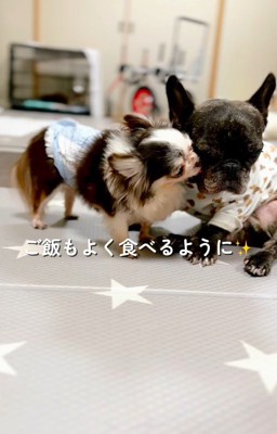 本来の明るく人懐こい性格に！