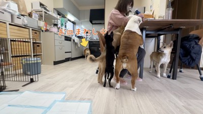 みんなに幸あれ