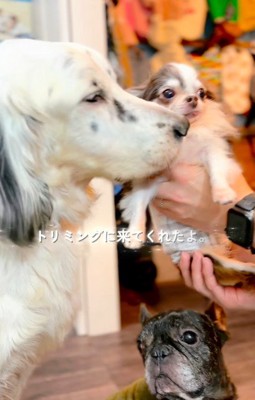 再会で見えたご家族の愛