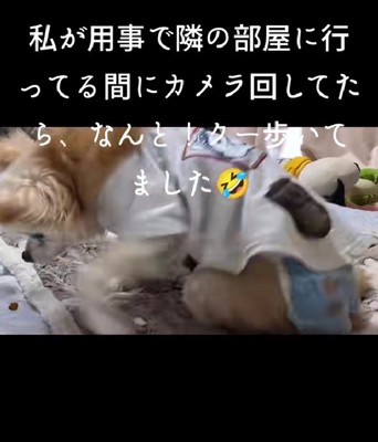 ひとりで立ち上がった！！