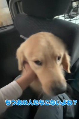 「襲ってきてない!?」