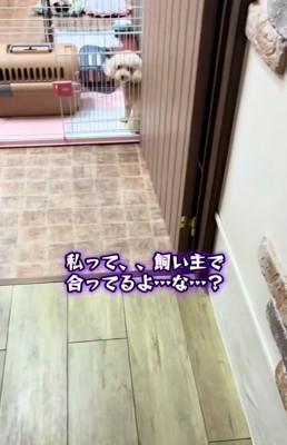 悲しむママ