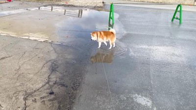 思ってたより深い…！！