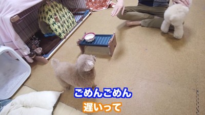 「なんで遅かったの！！」