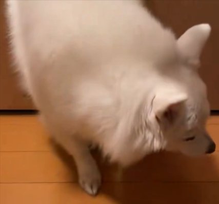 そろりそろり