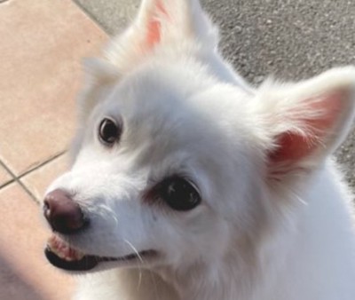 笑顔