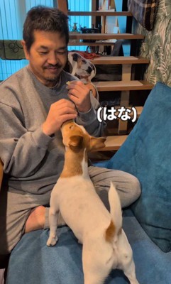 どんなコマンドも逃さずクリア!