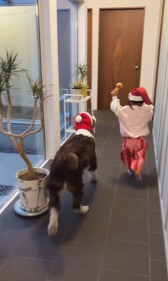 サンタごっこをするププくんと女の子6