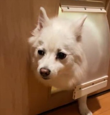 もう無理