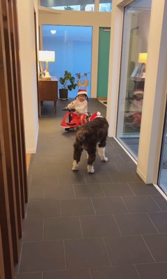 サンタごっこをするププくんと女の子4