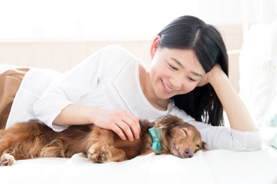 添い寝する犬を撫でる