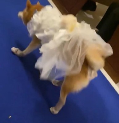 笑い声