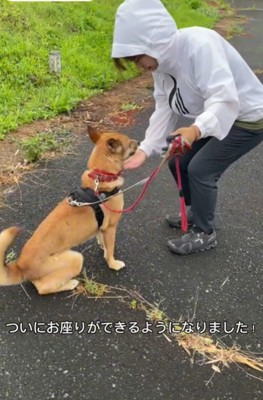 おすわりもできるよ！