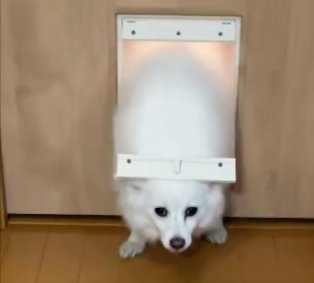 ドアとの攻防