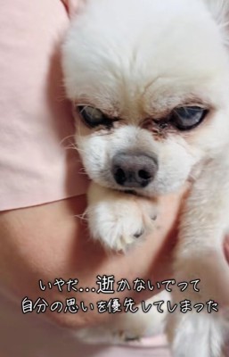 まだまだ一緒にいたい