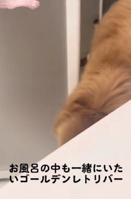 ママがお風呂に入っていると…